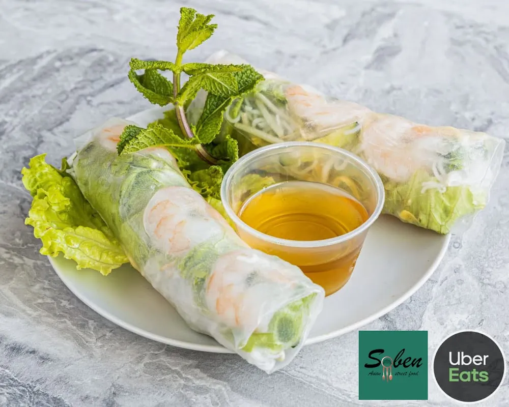 Rouleaux de Printemps X 2